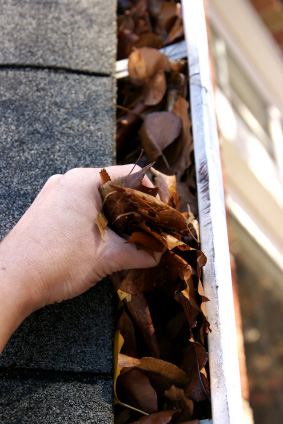 Gutter Guards and Leaf Protection