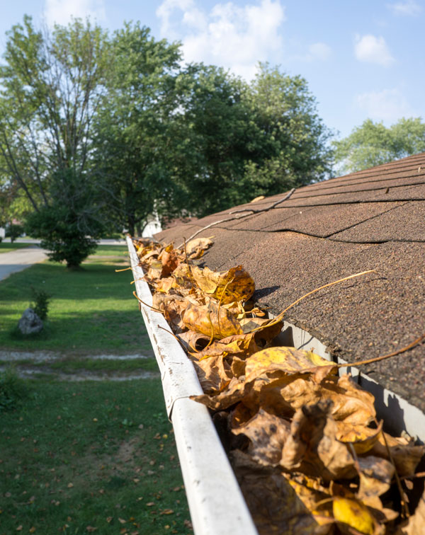 Gutter Repair and Cleaning